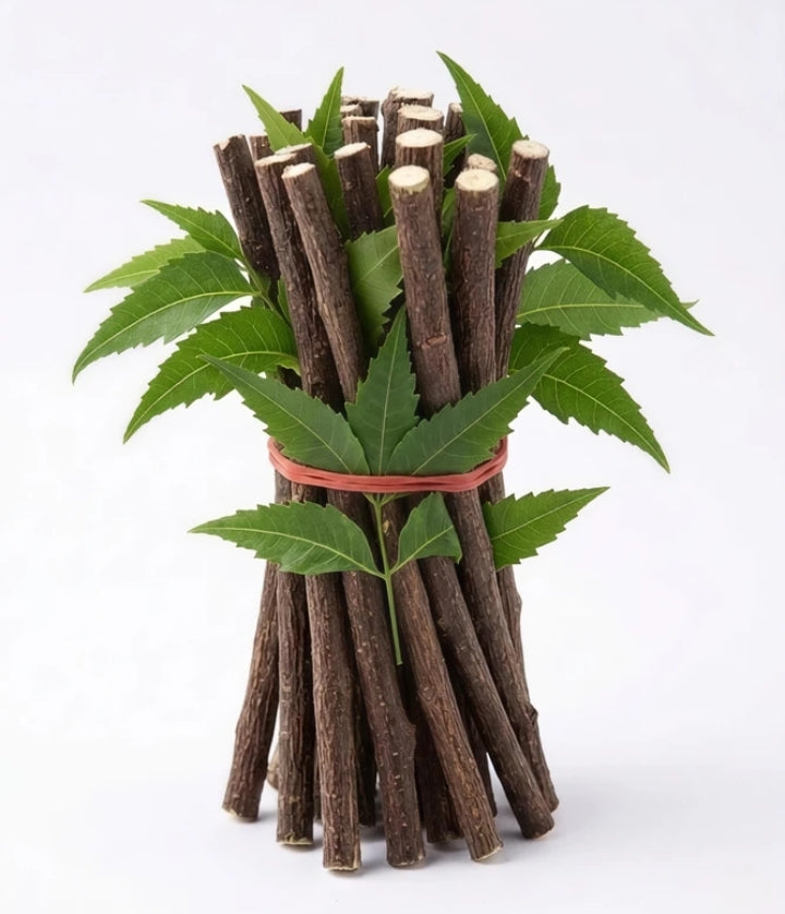 Herbanest Natural Neem Sticks (Neem Datun) – 100% Pure & Chemical-Free for Daily Oral Care