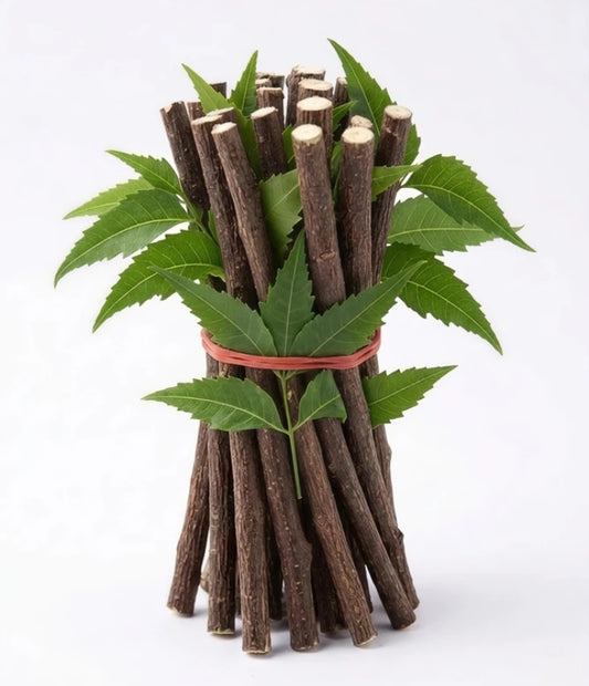 Herbanest Natural Neem Sticks (Neem Datun) – 100% Pure & Chemical-Free for Daily Oral Care